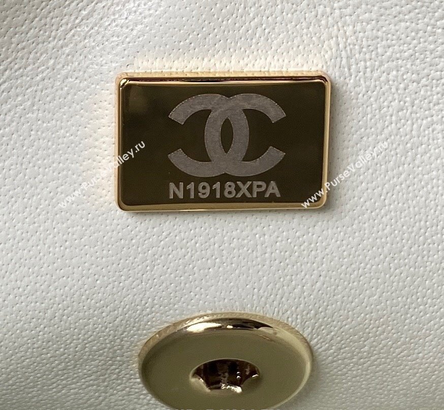 Chanel Quilted Shiny Calfskin & Gold-Tone Metal Small box Bag AS4470 White 2023 (jiyuan-23111619)