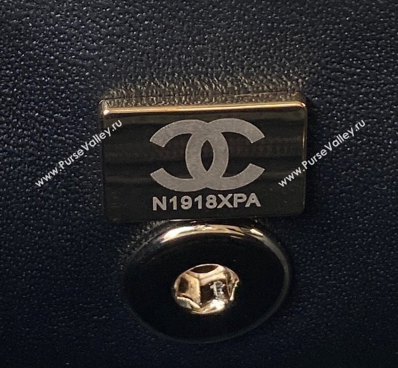 Chanel Quilted Shiny Calfskin & Gold-Tone Metal box Bag AS4471 Black 2023 (jiyuan-23111623)