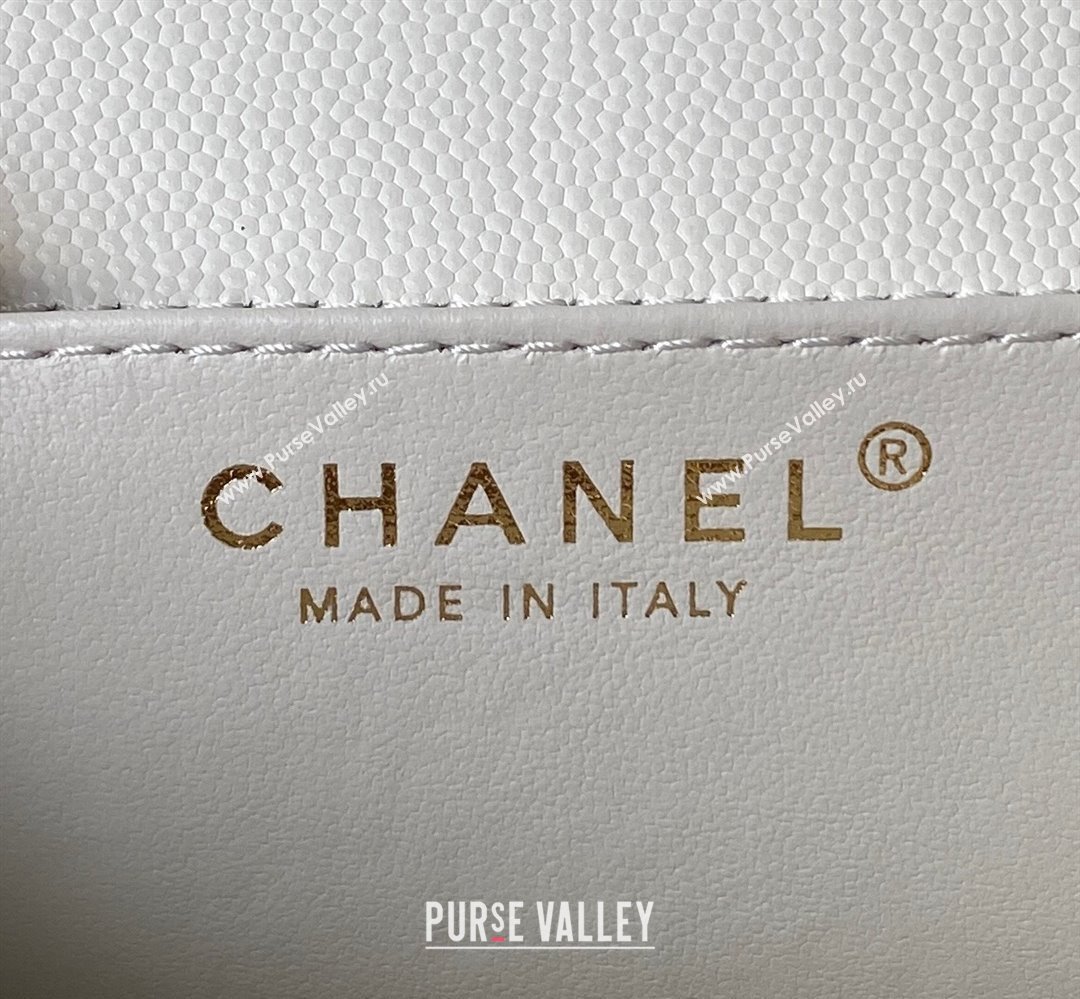 Chanel Grained Calfskin & Gold-Tone Metal Chain Flap Bag AS4489 White 2023 (jiyuan-23111702)