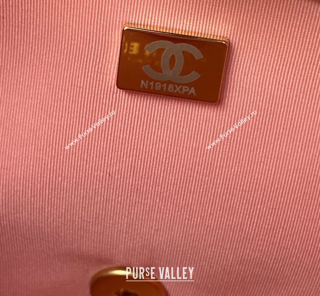 Chanel Grained Calfskin & Gold-Tone Metal Chain Flap Bag AS4489 Pink 2023 (jiyuan-23111704)