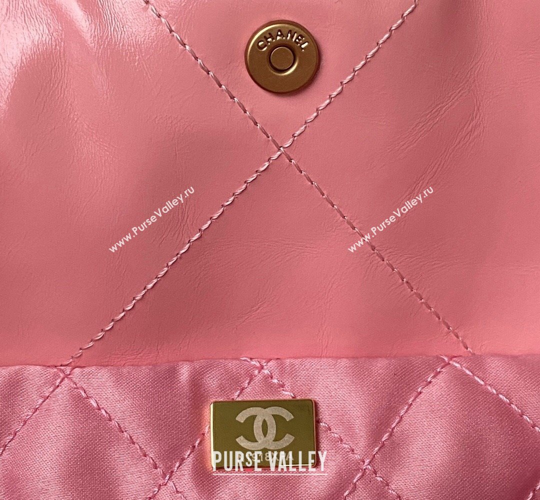 Chanel Shiny Calfskin CHANEL 22 East West Shopping Bag AS4486 Pink 2023 (jiyuan-23111608)
