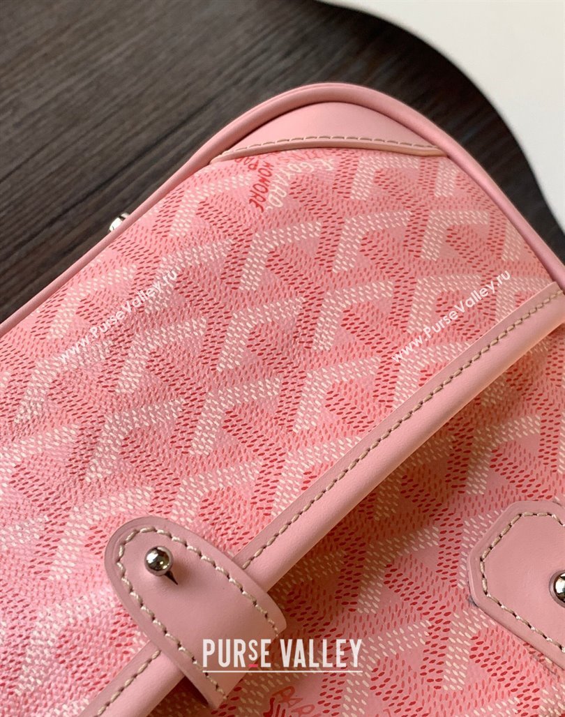 Goyard Saint Jeanne PM Bowling Bag Pink (zhang-23112024)