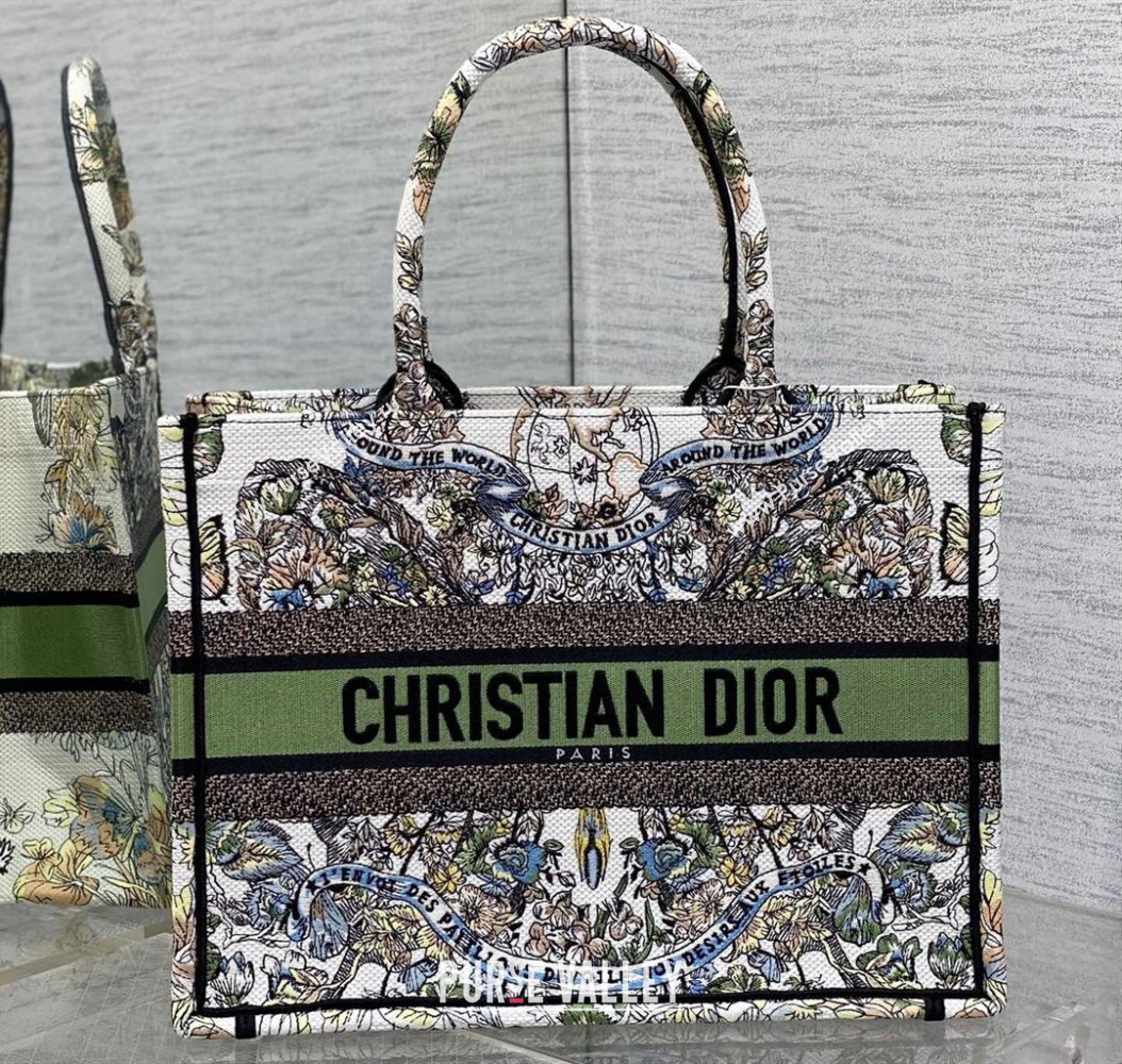 Dior Medium Book Tote Bag in White and Green Butterfly Around The World Embroidery (XXG-23112023)