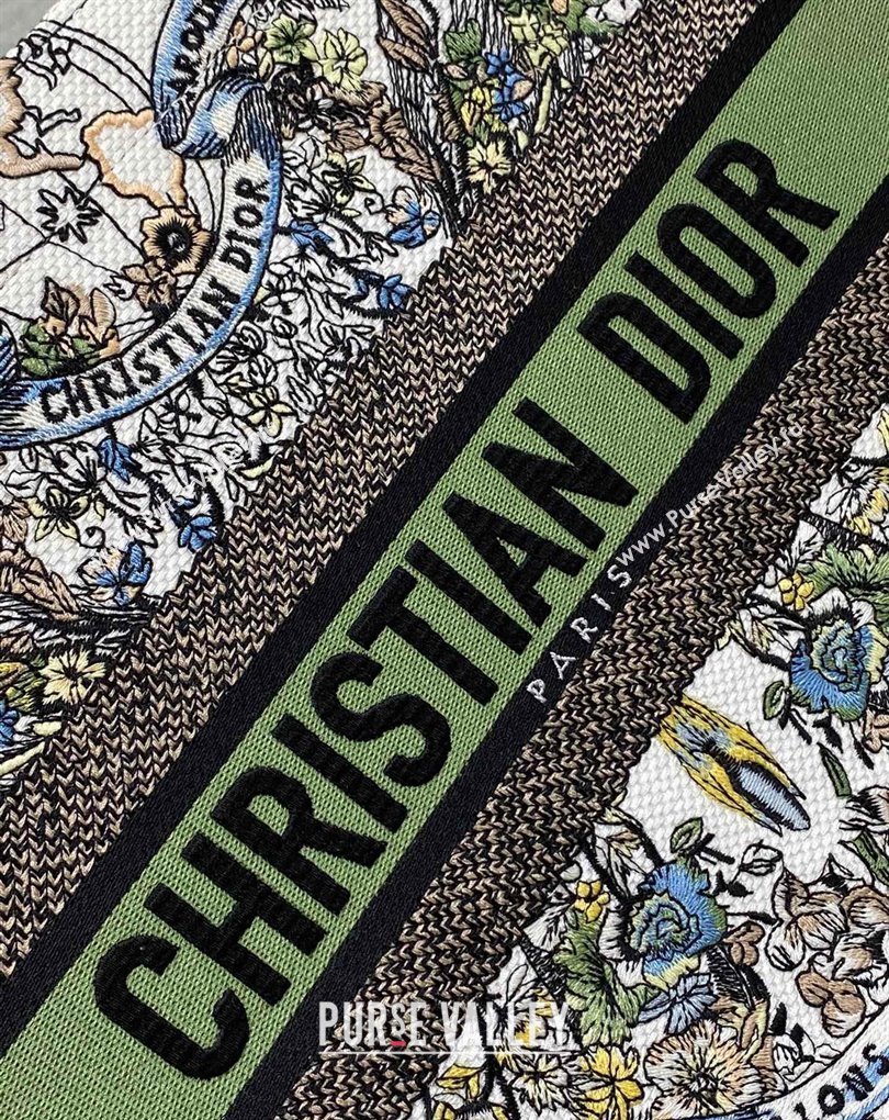 Dior Medium Book Tote Bag in White and Green Butterfly Around The World Embroidery (XXG-23112023)
