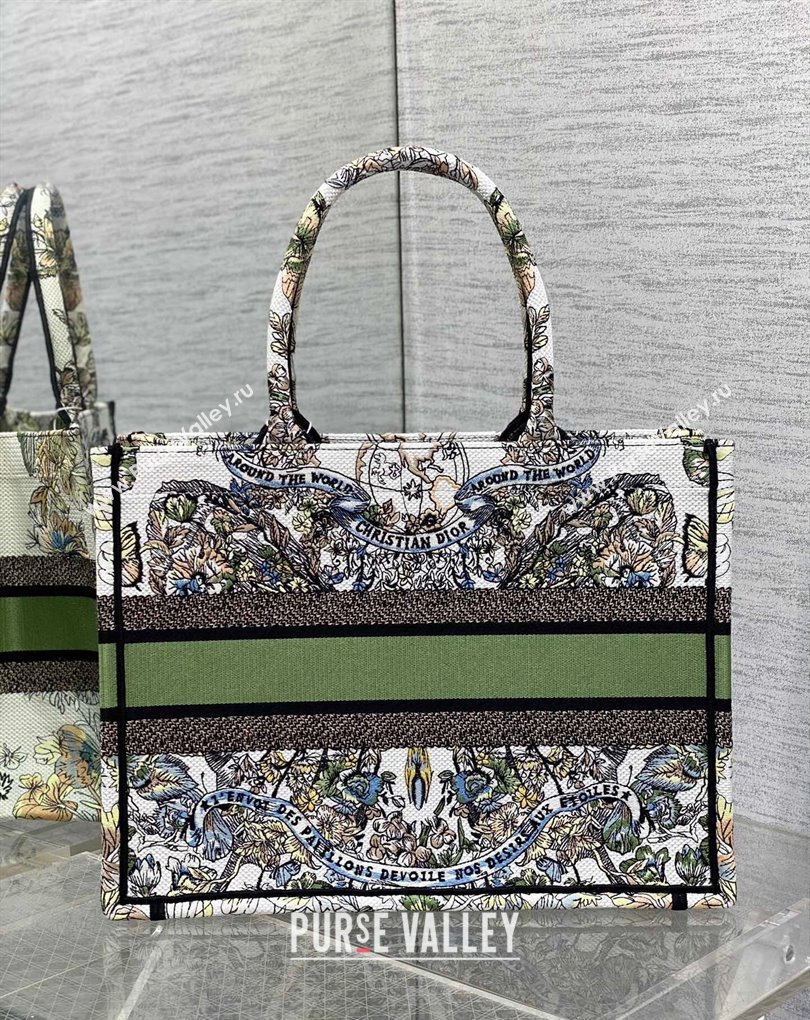 Dior Medium Book Tote Bag in White and Green Butterfly Around The World Embroidery (XXG-23112023)