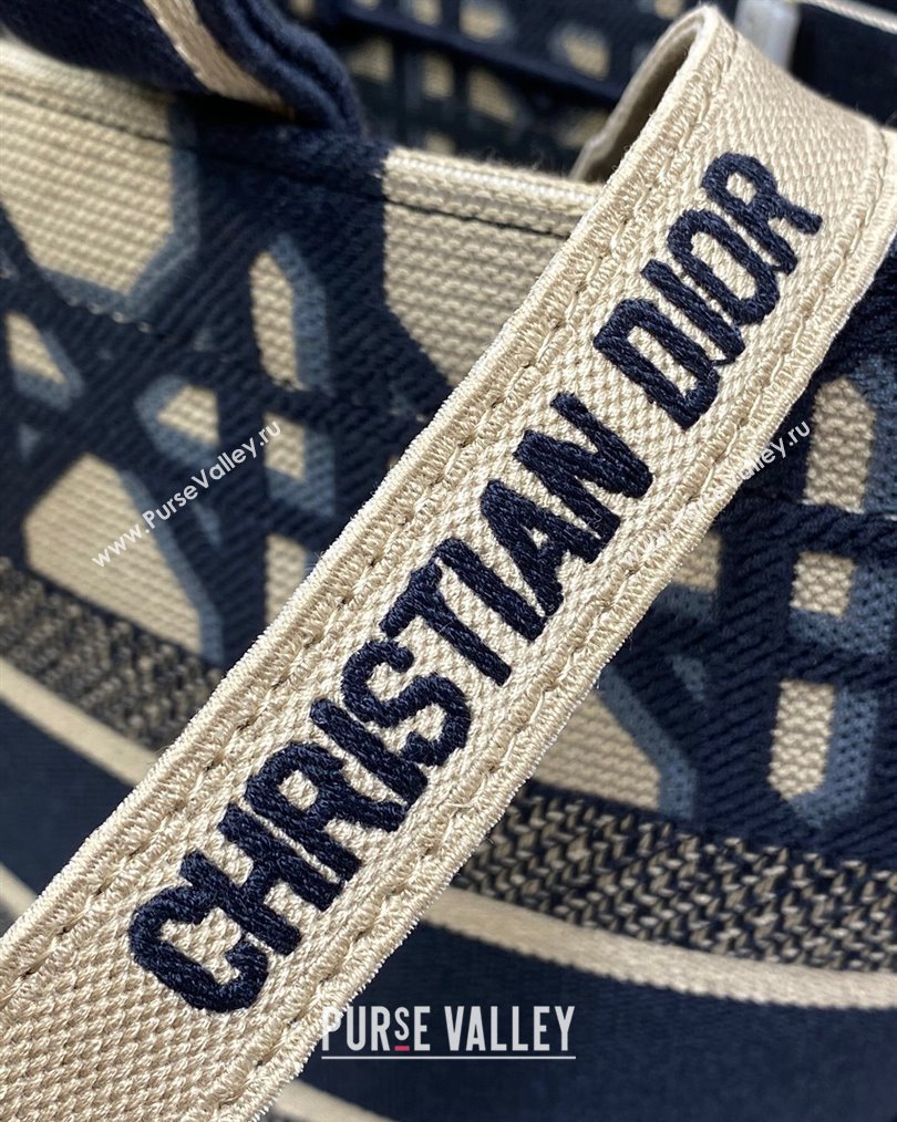 Dior Hat Basket Bag In Beige and Blue Macrocannage Embroidery 2024 (XXG-23112109)