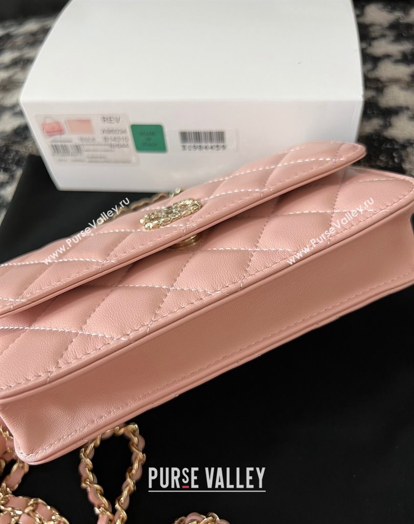 Chanel Mini Flap Bag with Flower Top Handle A96034 Pink 2024 (jiyuan-23112209)