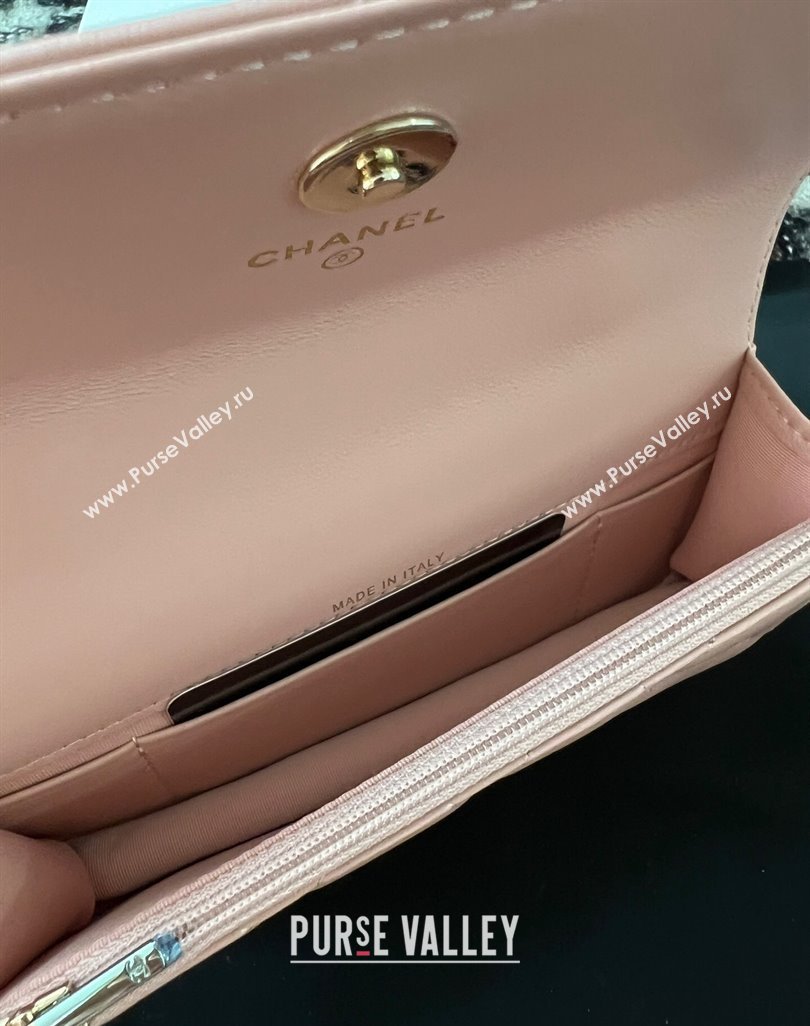 Chanel Mini Flap Bag with Flower Top Handle A96034 Pink 2024 (jiyuan-23112209)