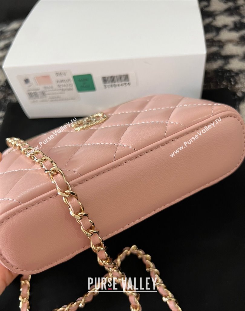 Chanel Small Vanity Case Bag with Flower Top Handle A96035 Pink 2024 (jiyuan-23112203)