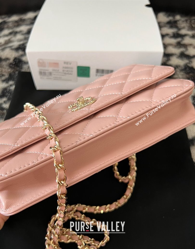 Chanel Small Flap Bag with Flower Top Handle A96033 Pink 2024 (jiyuan-23112206)