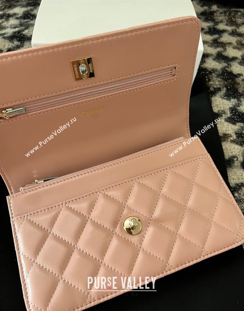 Chanel Small Flap Bag with Flower Top Handle A96033 Pink 2024 (jiyuan-23112206)