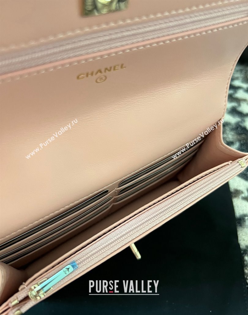 Chanel Small Flap Bag with Flower Top Handle A96033 Pink 2024 (jiyuan-23112206)