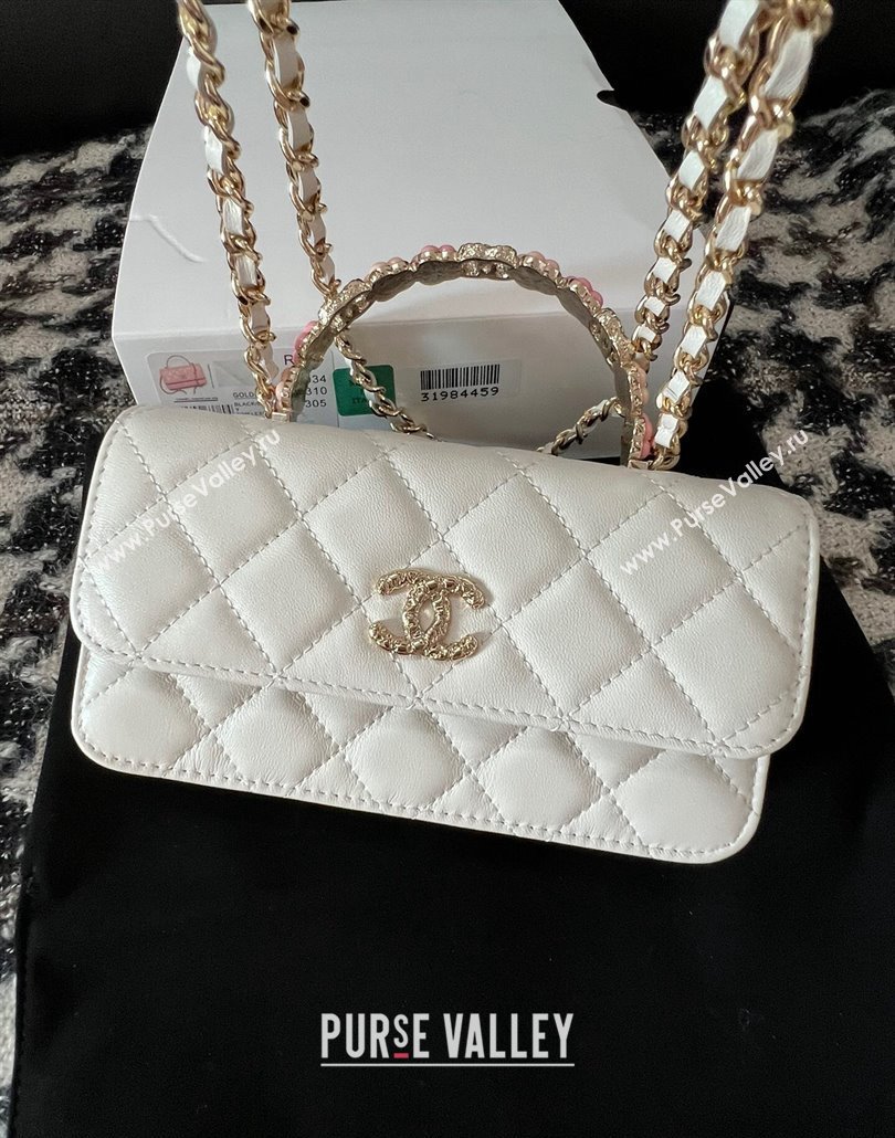 Chanel Mini Flap Bag with Flower Top Handle A96034 White 2024 (jiyuan-23112208)