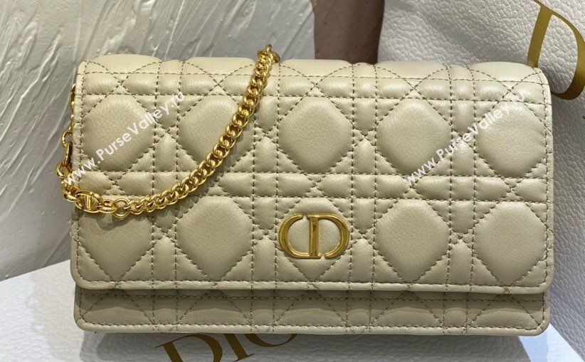Dior Caro Pouch Bag in Beige Soft Cannage Calfskin 2024 (XXG-23112508)