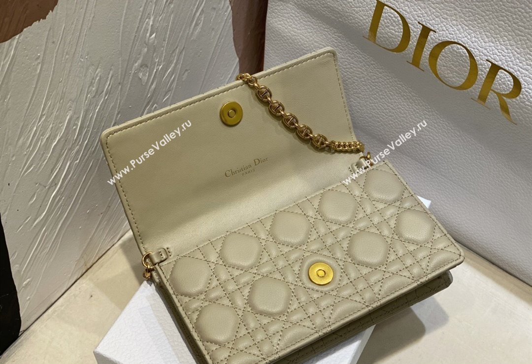 Dior Caro Pouch Bag in Beige Soft Cannage Calfskin 2024 (XXG-23112508)