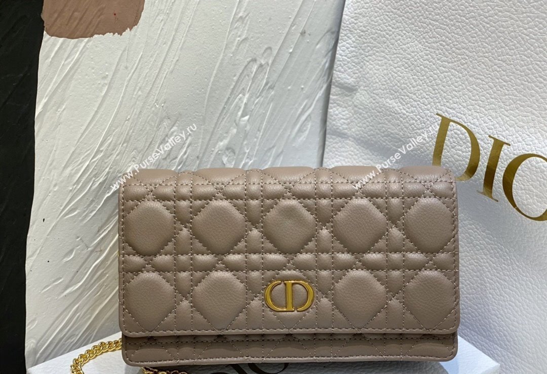 Dior Caro Pouch Bag in Nude Soft Cannage Calfskin 2024 (XXG-23112509)