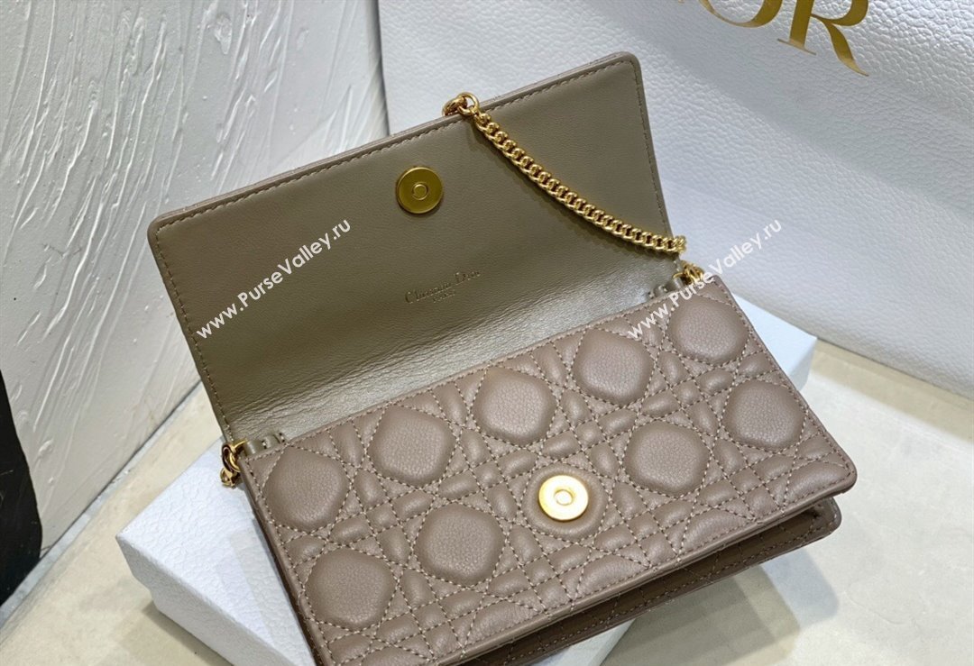 Dior Caro Pouch Bag in Nude Soft Cannage Calfskin 2024 (XXG-23112509)
