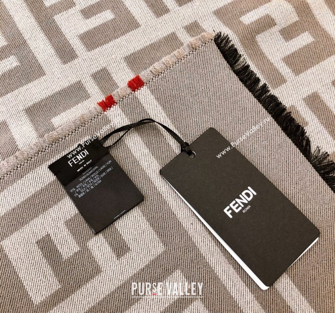 Fendi FF Gray Silk and Wool throw Blanket Top Quality (wtz-23112702)