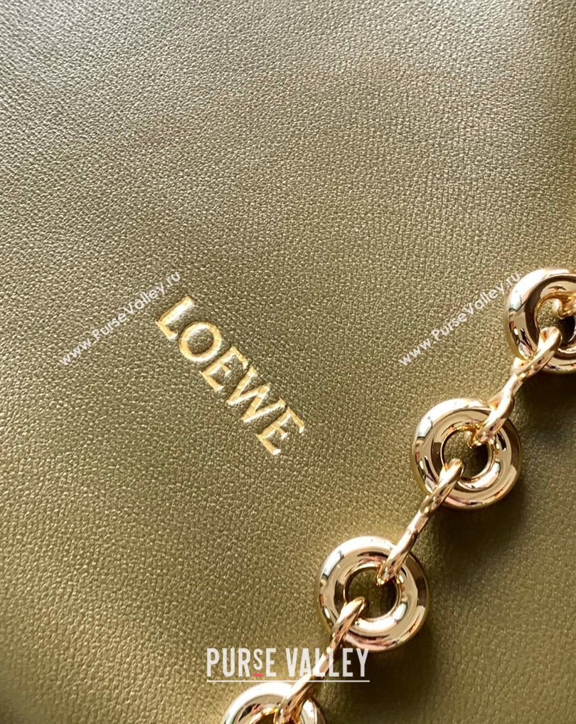 Loewe Medium Squeeze bag in nappa lambskin Green (xinyidai-23120403)