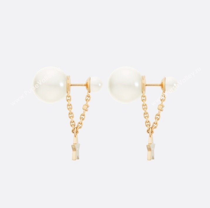 Dior Earrings 01 2024 (YF-23120531)