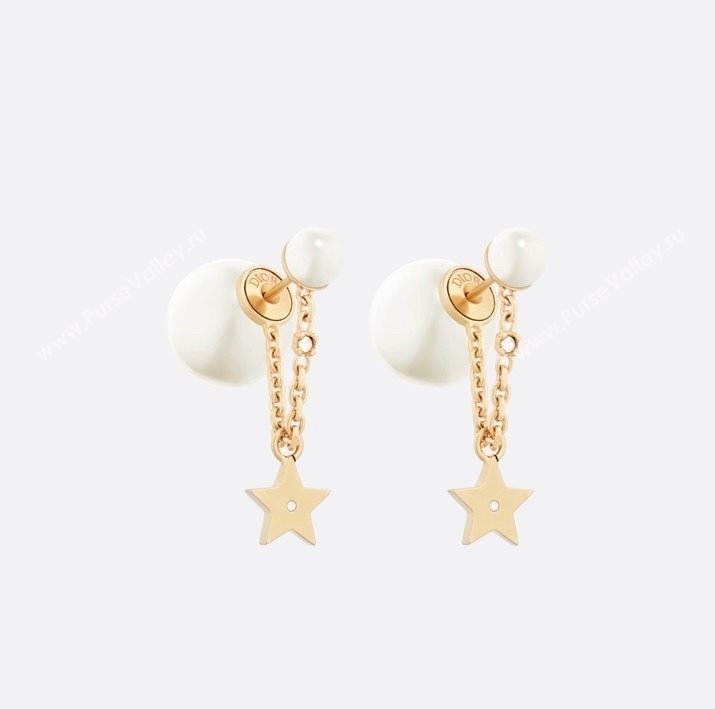 Dior Earrings 01 2024 (YF-23120531)