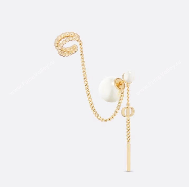 Dior Earrings 08 2024 (YF-23120538)