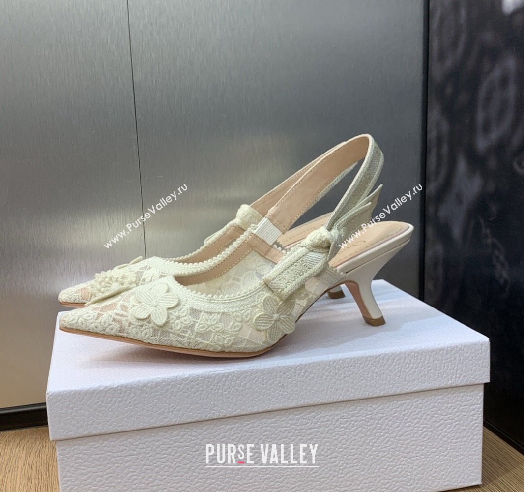 Dior Heel 6.5cm JAdior Slingback Pumps in Transparent Mesh Embroidered with White 3D Macramé-Effect D-Lace Motif 2024 (modeng-23