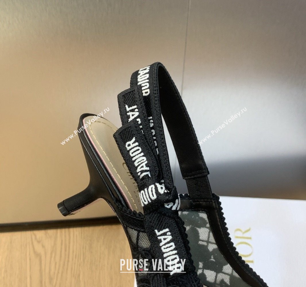 Dior Heel 6.5cm JAdior Slingback Pumps in Transparent Mesh Embroidered with Black 3D Macramé-Effect D-Lace Motif 2024 (modeng-23