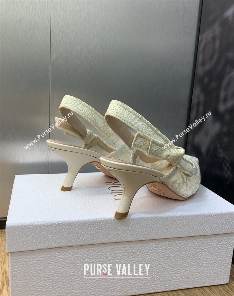 Dior Heel 6.5cm JAdior Slingback Pumps in Transparent Mesh Embroidered with White Butterfly Motif 2024 (modeng-23120851)