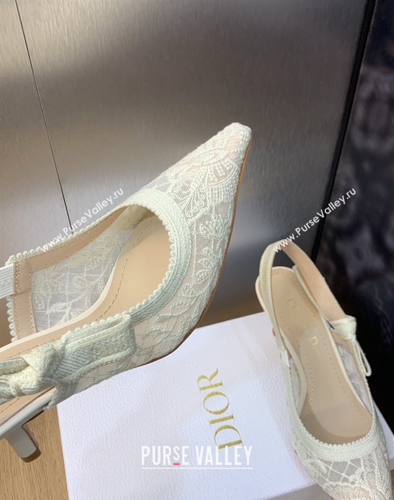 Dior Heel 6.5cm JAdior Slingback Pumps in Transparent Mesh Embroidered with White Butterfly Motif 2024 (modeng-23120851)