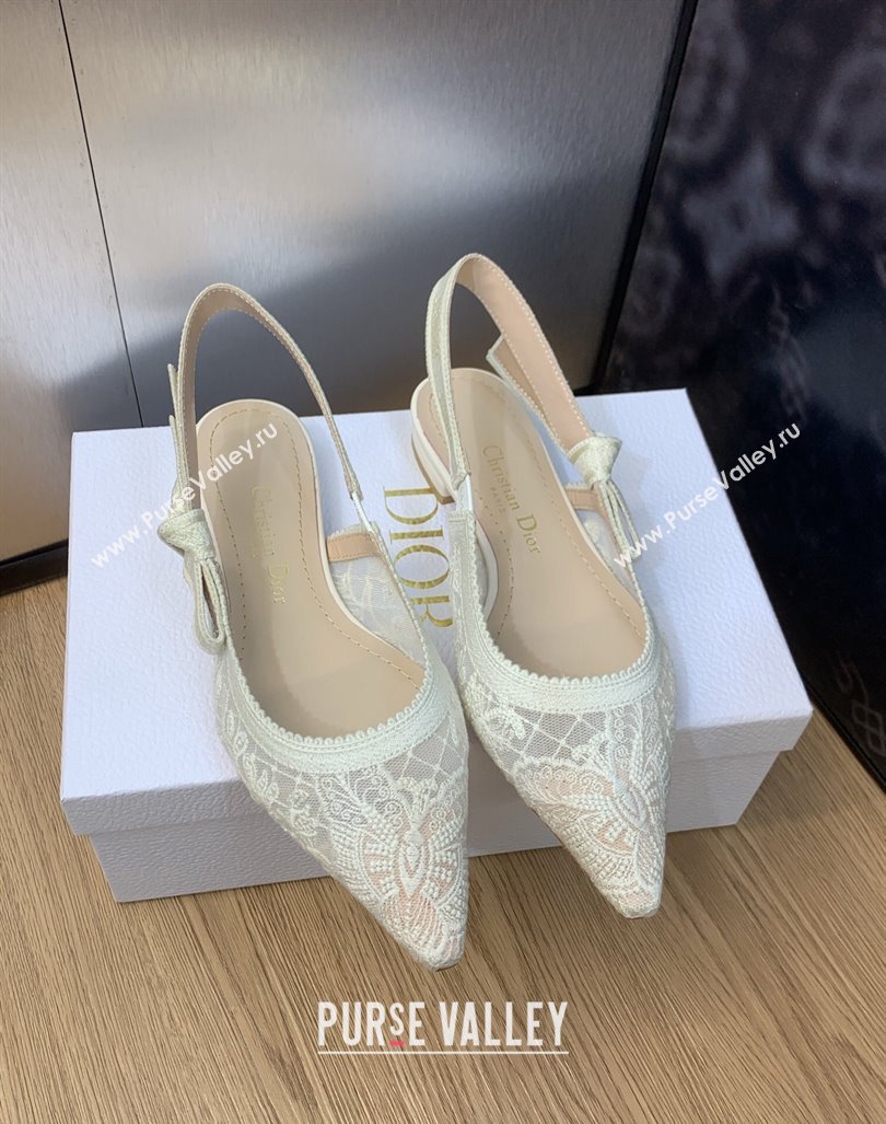 Dior JAdior Slingback Ballerina Flats in Transparent Mesh Embroidered with White Butterfly Motif 2024 (modeng-23120852)