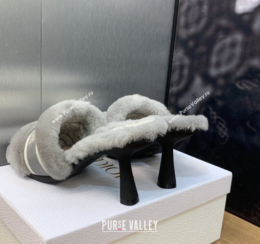 Dior Heel 8cm Dway Slide Sandals in Gray Shearling Fur and Embroidered Canvas 2024 (jincheng-23120807)