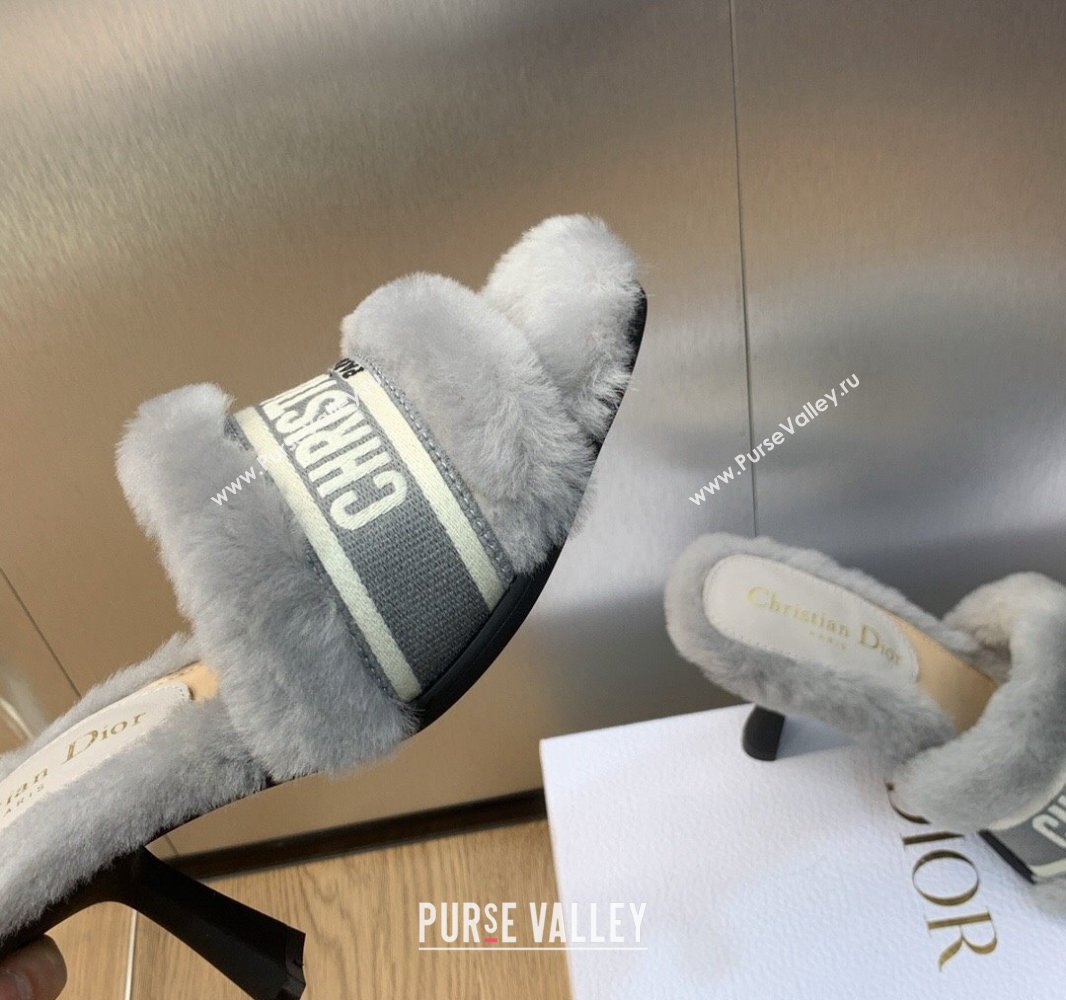Dior Heel 8cm Dway Slide Sandals in Gray Shearling Fur and Embroidered Canvas 2024 (jincheng-23120807)