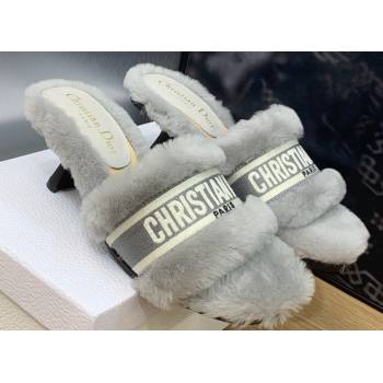 Dior Heel 6.5cm Dway Slide Sandals in Gray Shearling Fur and Embroidered Canvas 2024 (jincheng-23120808)