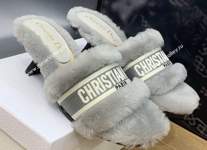 Dior Heel 6.5cm Dway Slide Sandals in Gray Shearling Fur and Embroidered Canvas 2024 (jincheng-23120808)