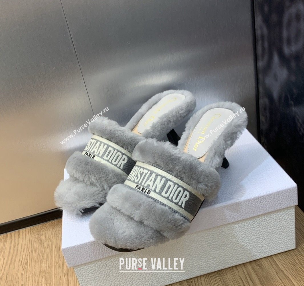 Dior Heel 6.5cm Dway Slide Sandals in Gray Shearling Fur and Embroidered Canvas 2024 (jincheng-23120808)