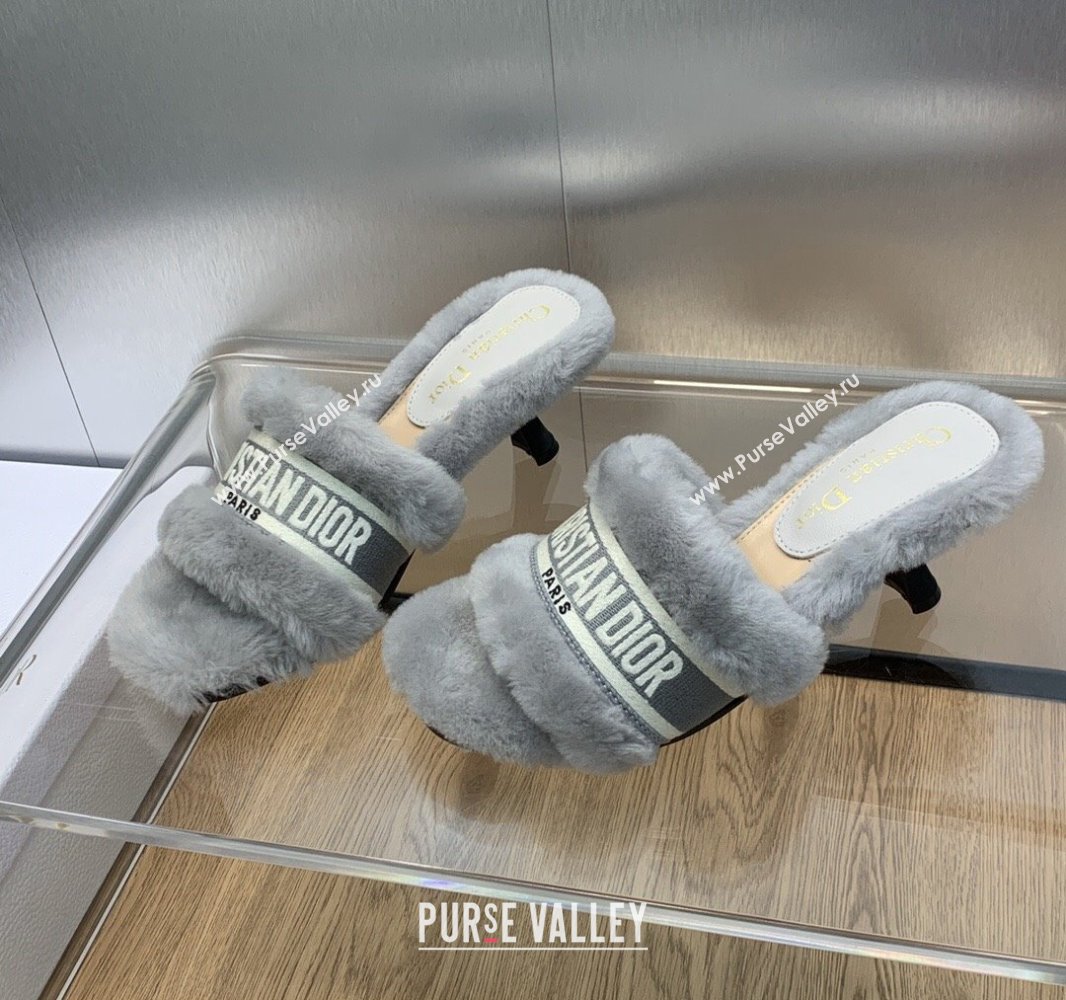 Dior Heel 6.5cm Dway Slide Sandals in Gray Shearling Fur and Embroidered Canvas 2024 (jincheng-23120808)
