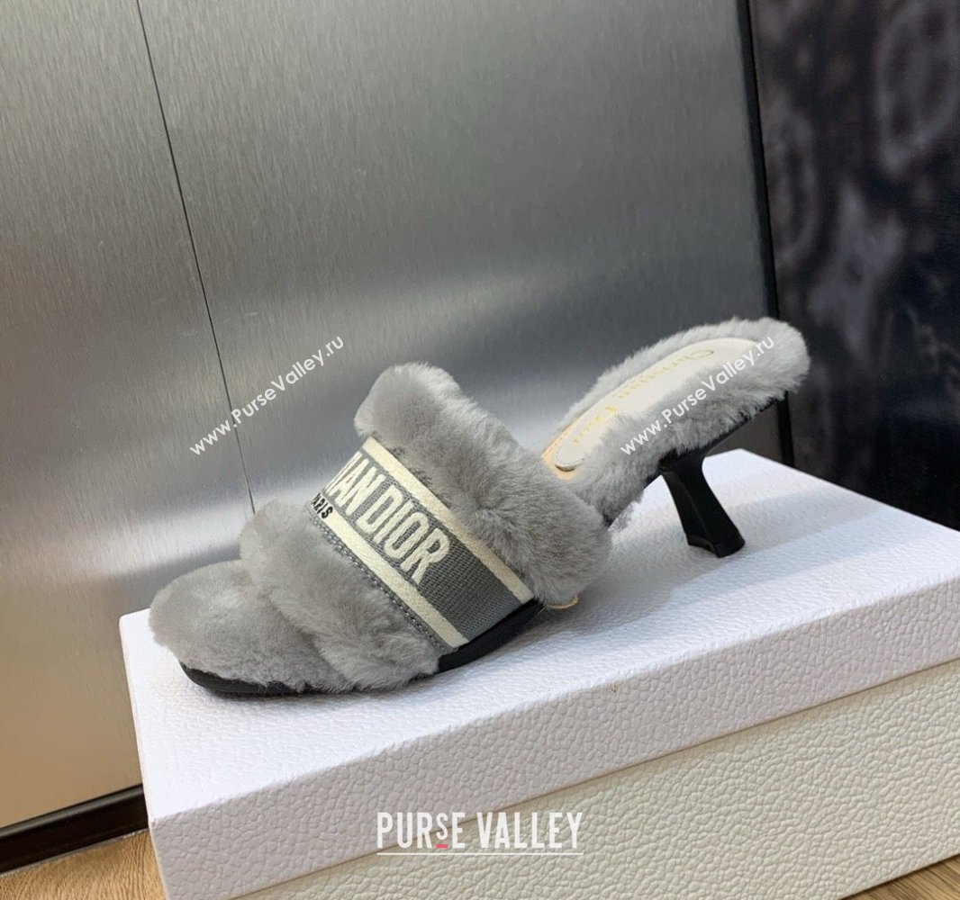 Dior Heel 6.5cm Dway Slide Sandals in Gray Shearling Fur and Embroidered Canvas 2024 (jincheng-23120808)