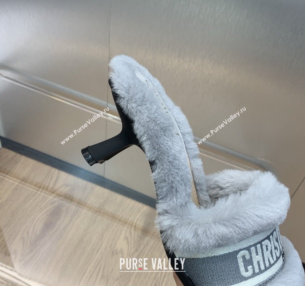 Dior Heel 6.5cm Dway Slide Sandals in Gray Shearling Fur and Embroidered Canvas 2024 (jincheng-23120808)
