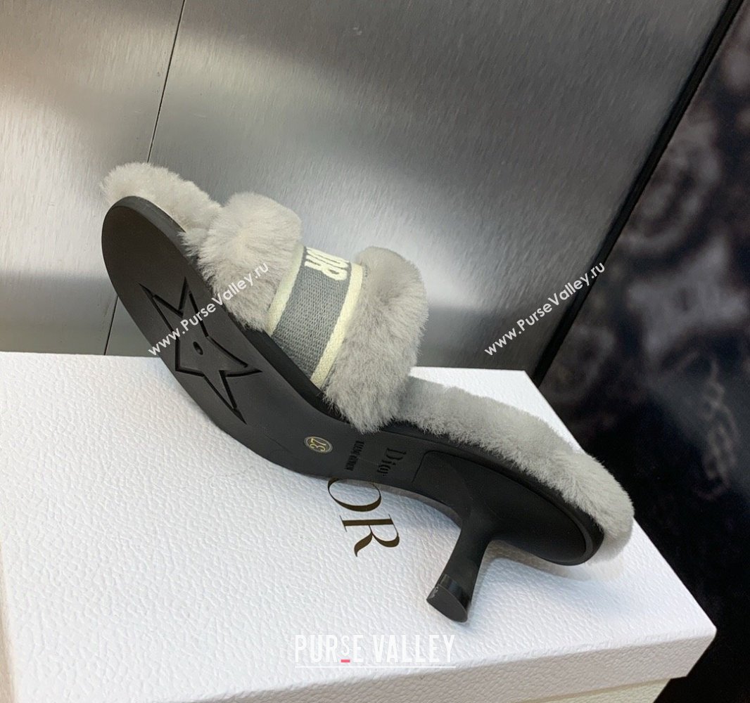 Dior Heel 6.5cm Dway Slide Sandals in Gray Shearling Fur and Embroidered Canvas 2024 (jincheng-23120808)