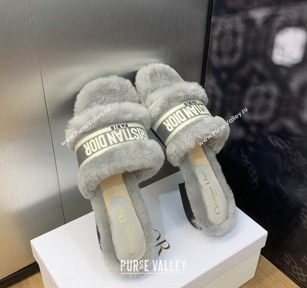 Dior Dway Flat Slide Sandals in Gray Shearling Fur and Embroidered Canvas 2024 (jincheng-23120809)