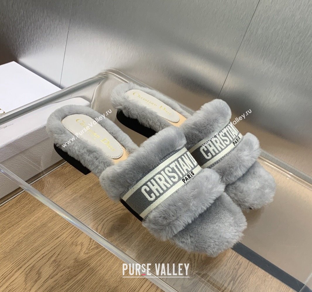 Dior Dway Flat Slide Sandals in Gray Shearling Fur and Embroidered Canvas 2024 (jincheng-23120809)