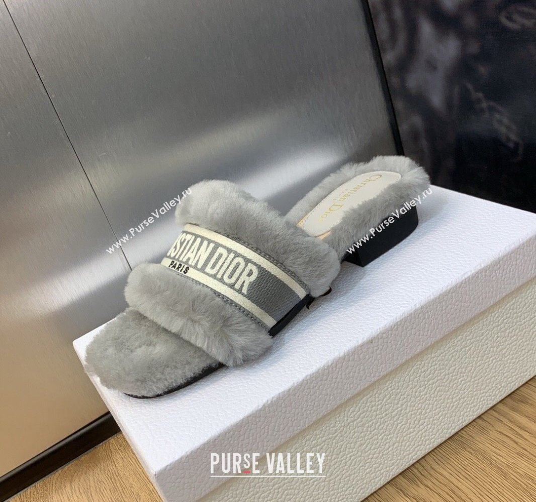 Dior Dway Flat Slide Sandals in Gray Shearling Fur and Embroidered Canvas 2024 (jincheng-23120809)
