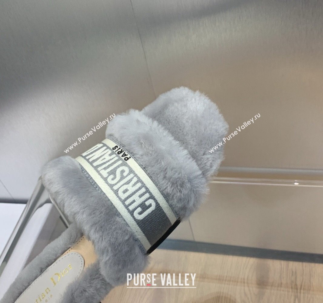 Dior Dway Flat Slide Sandals in Gray Shearling Fur and Embroidered Canvas 2024 (jincheng-23120809)