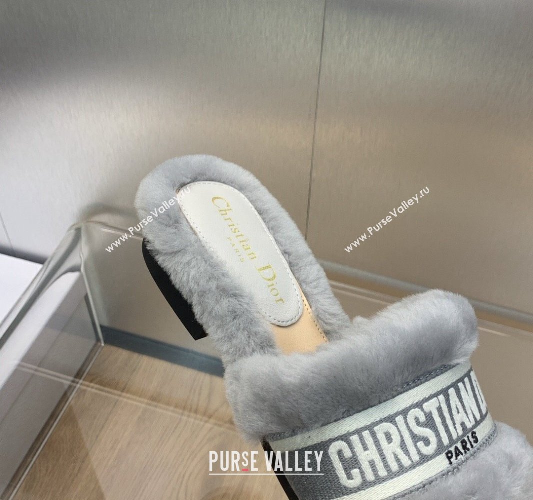 Dior Dway Flat Slide Sandals in Gray Shearling Fur and Embroidered Canvas 2024 (jincheng-23120809)