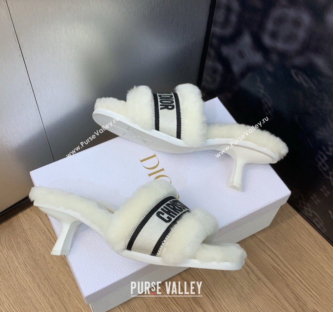Dior Heel 6.5cm Dway Slide Sandals in White Shearling Fur and Embroidered Canvas 2024 (jincheng-23120805)