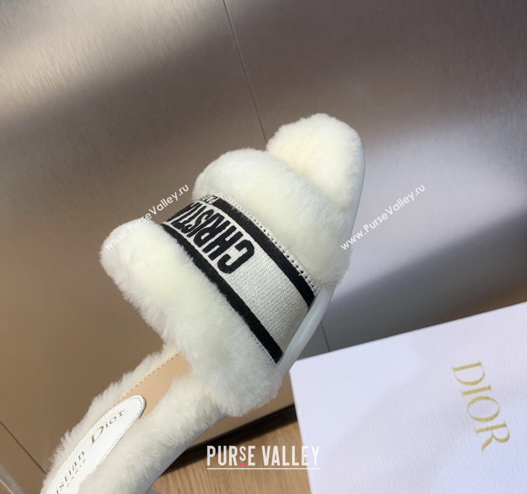 Dior Heel 6.5cm Dway Slide Sandals in White Shearling Fur and Embroidered Canvas 2024 (jincheng-23120805)