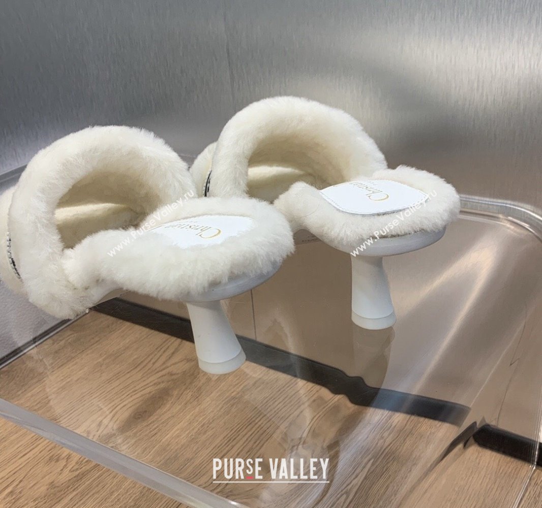 Dior Heel 6.5cm Dway Slide Sandals in White Shearling Fur and Embroidered Canvas 2024 (jincheng-23120805)
