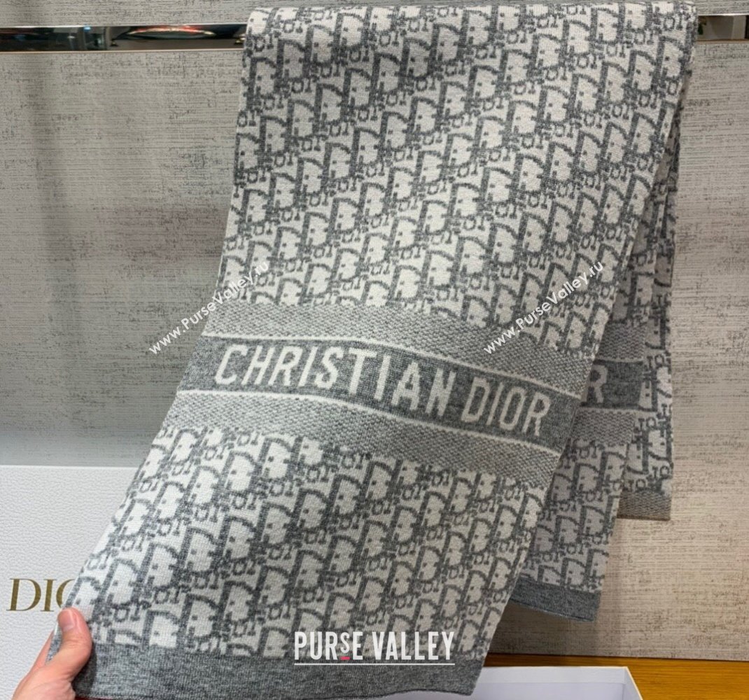 Dior Oblique Scarf in Gray Cashmere 35x200cm 2024 (weinisi-23121109)