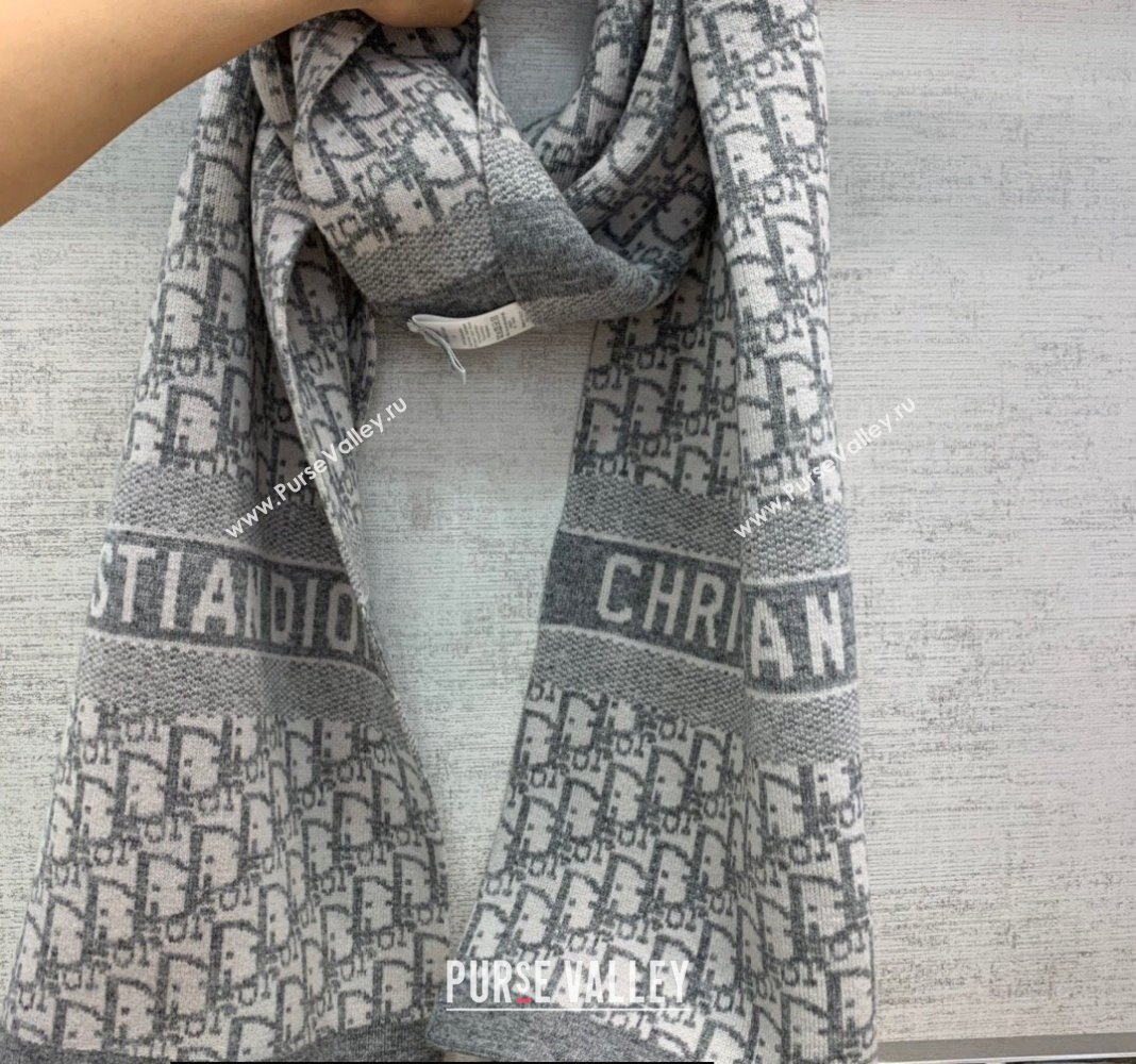 Dior Oblique Scarf in Gray Cashmere 35x200cm 2024 (weinisi-23121109)